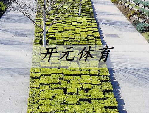 沈阳小区绿化工程活动策划