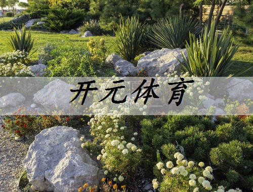苏州正规绿化工程行业