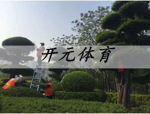 漯河市政道路绿化常用苗木