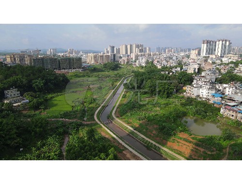 浏阳绿化和市容管理局领导班子